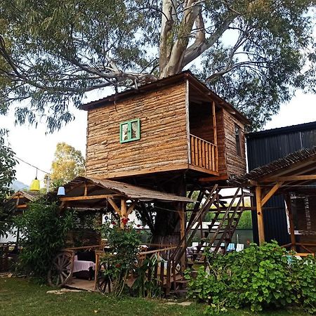 교젝 Daidala Life B&B 외부 사진