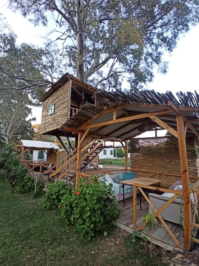 교젝 Daidala Life B&B 외부 사진