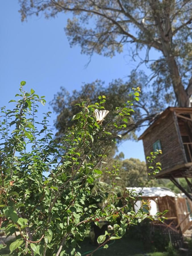 교젝 Daidala Life B&B 외부 사진